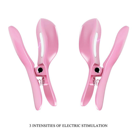 Surprise Box Huevo Vibrador y Pinzas para Pezones con Electro Estimulacion Rosa