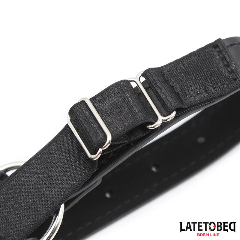 Arnes Cabeza con Mordaza y Gancho Nariz