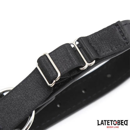 Arnes Cabeza con Mordaza y Gancho Nariz